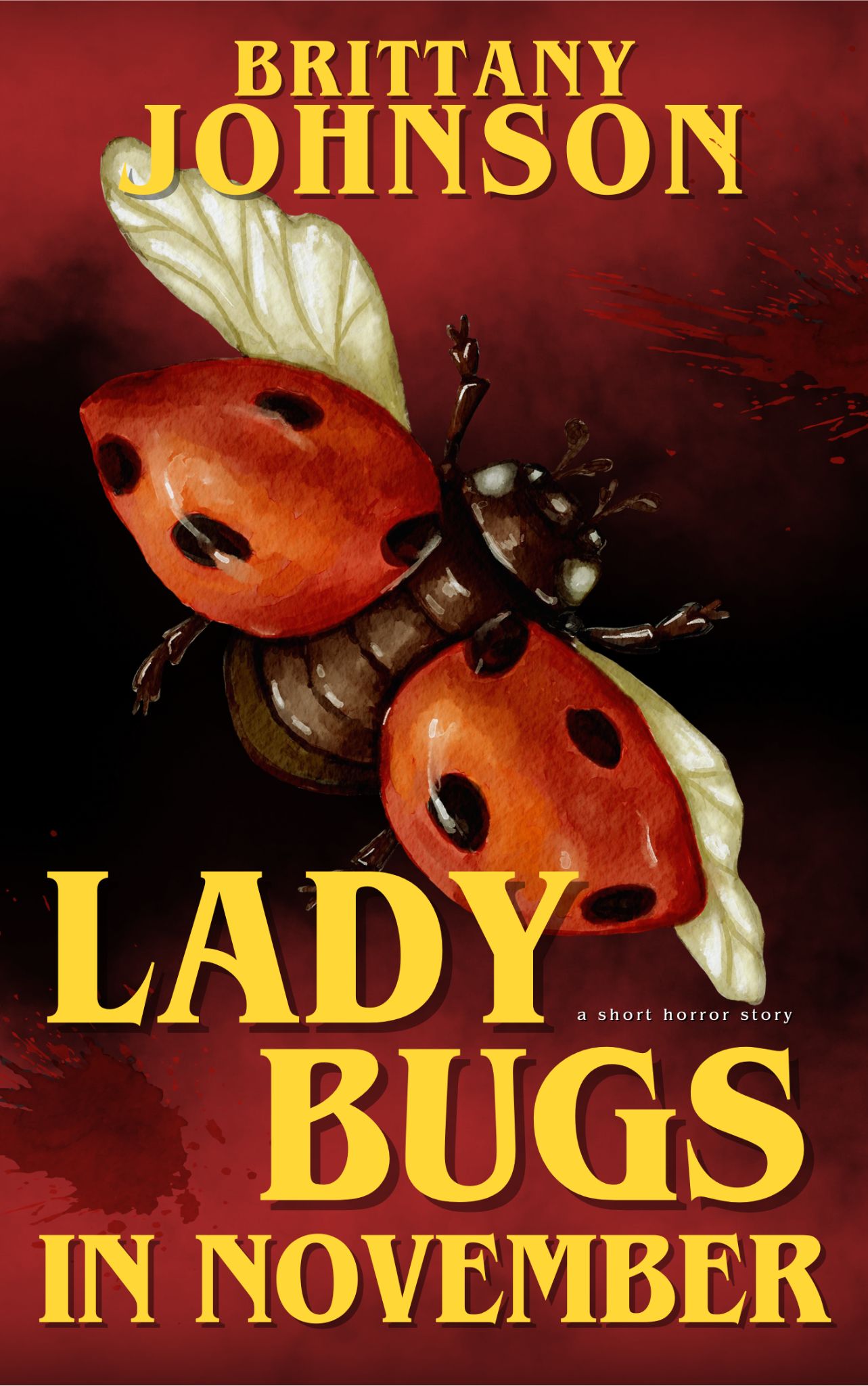 Ladybugs in November