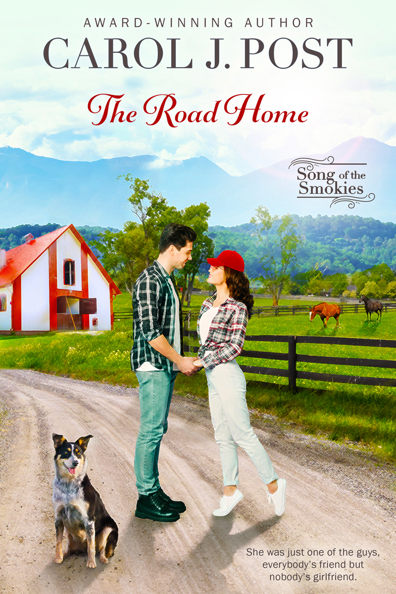 The Road Home book cover