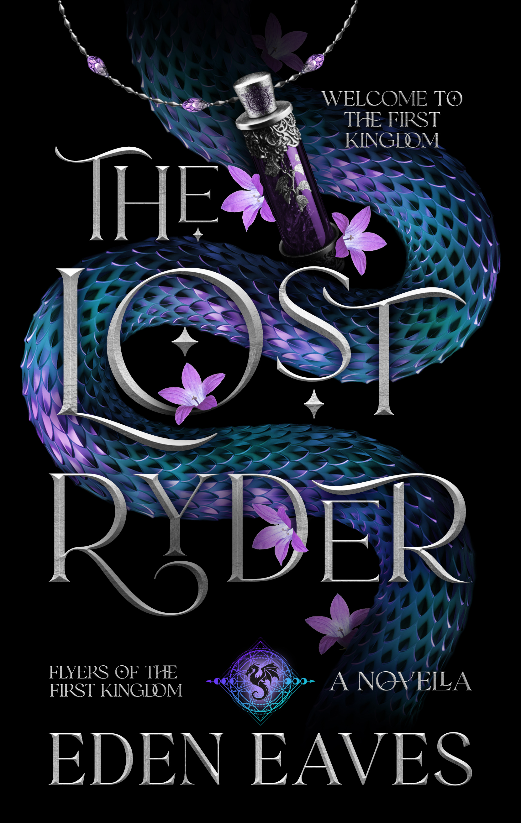 The Lost Ryder book cover