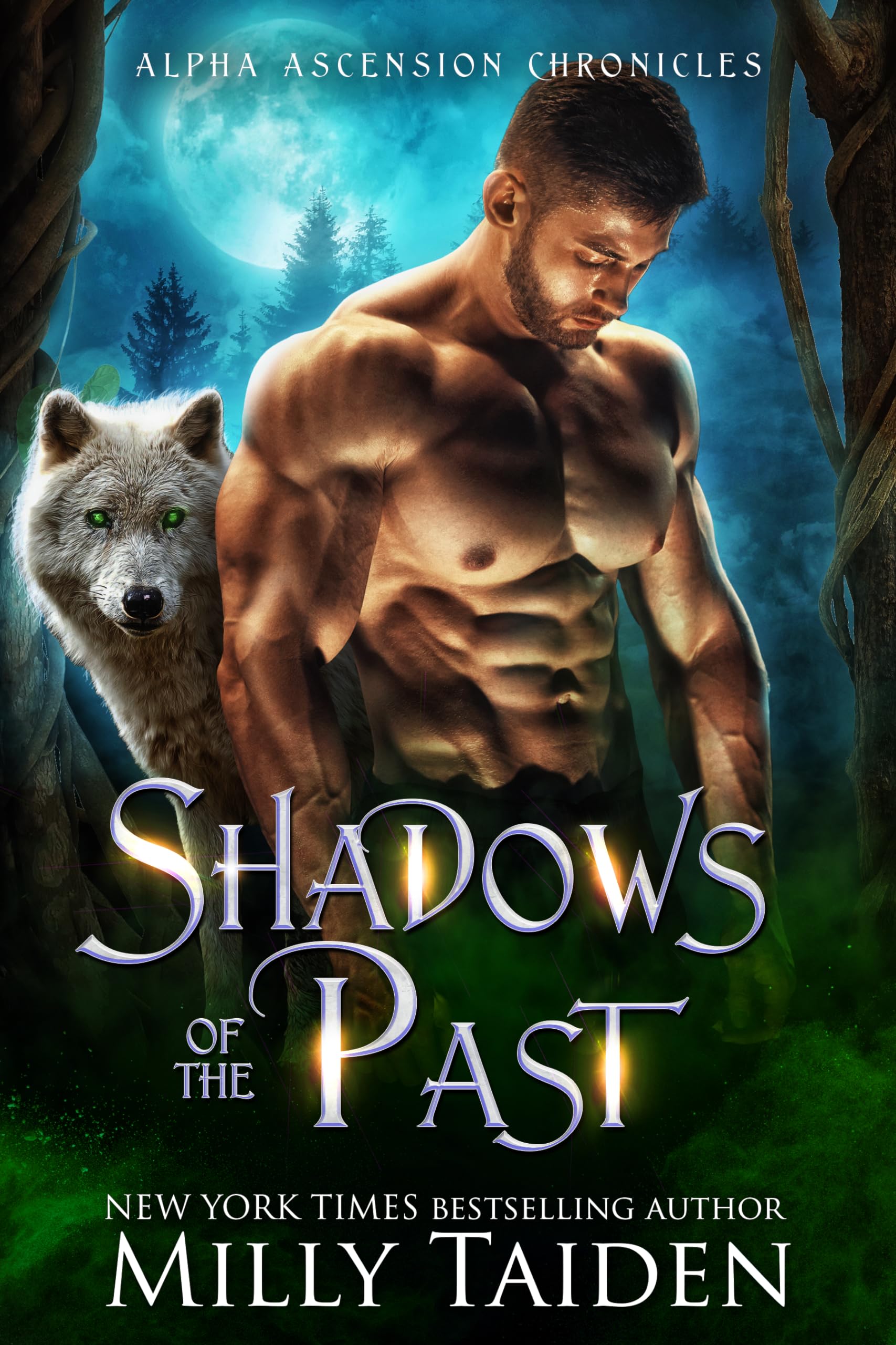 Shadows of the Past book cover