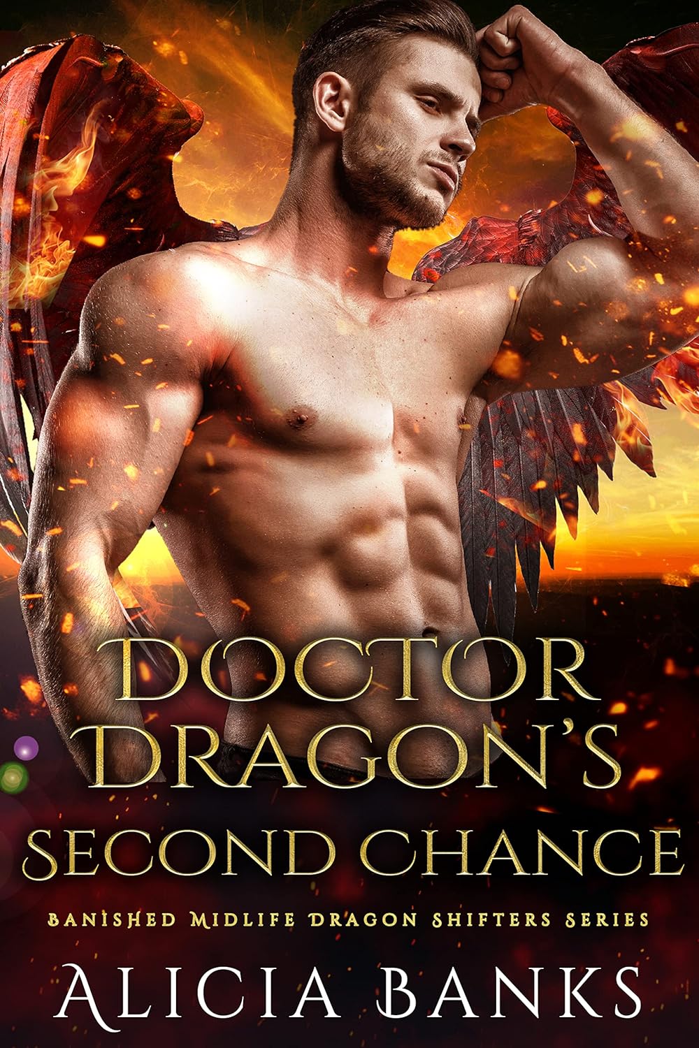 Doctor Dragon's Second Chance