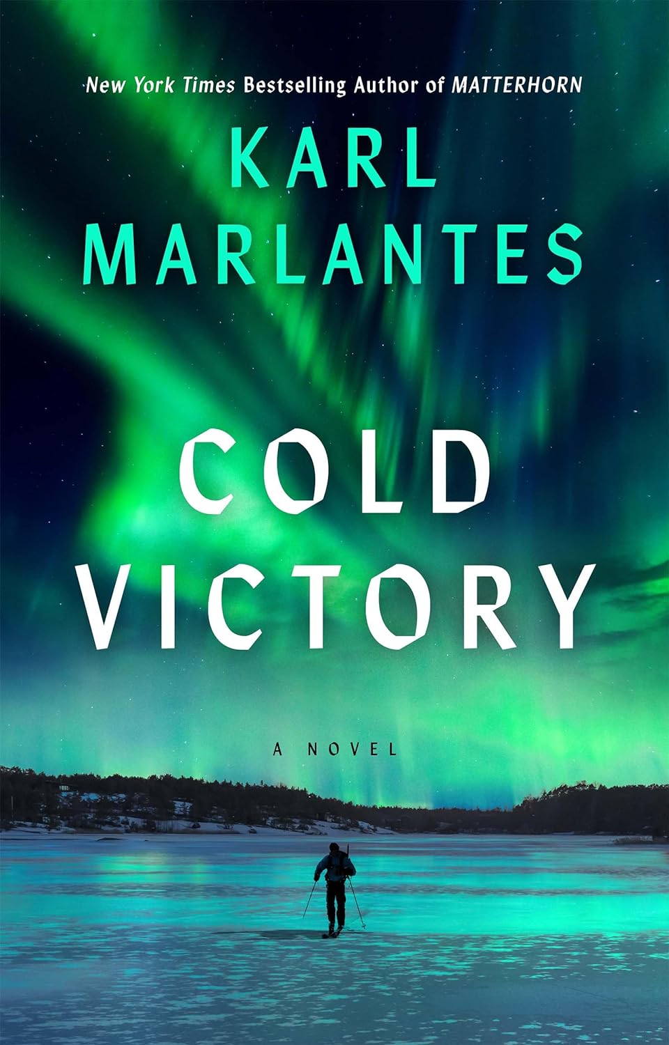 Cold Victory book cover
