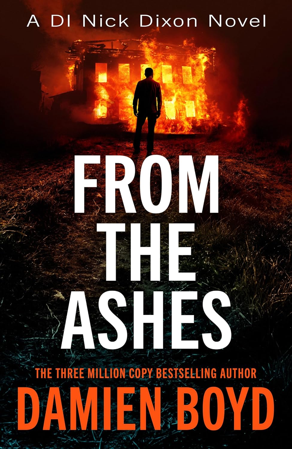 From the Ashes book cover