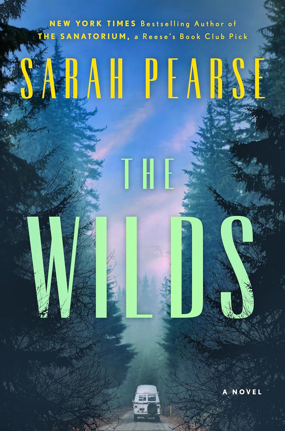 The Wilds (Detective Elin Warner, #3)
