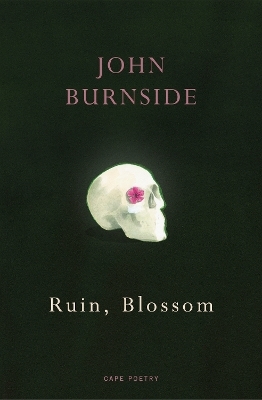 Ruin, Blossom book cover