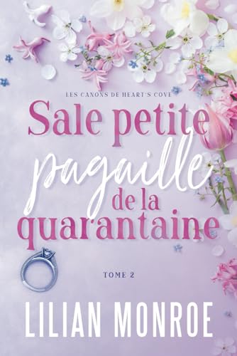 Sale petite pagaille de la quarantaine: Une comédie romantique de fausse relation (Les canons de Heart’s Cove)