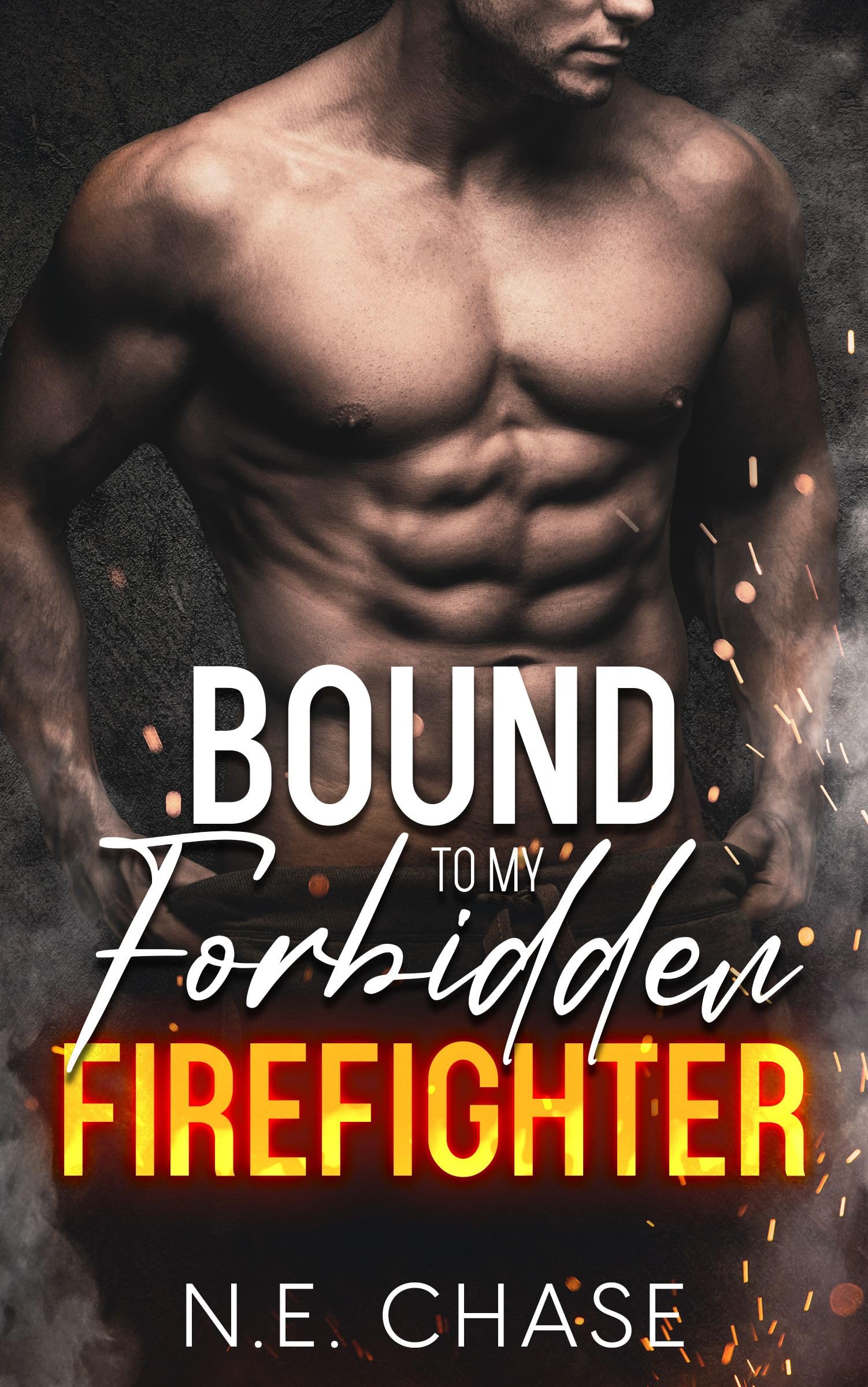 The Vet's Caribbean Fling/Her Forbidden Firefighter main image 1