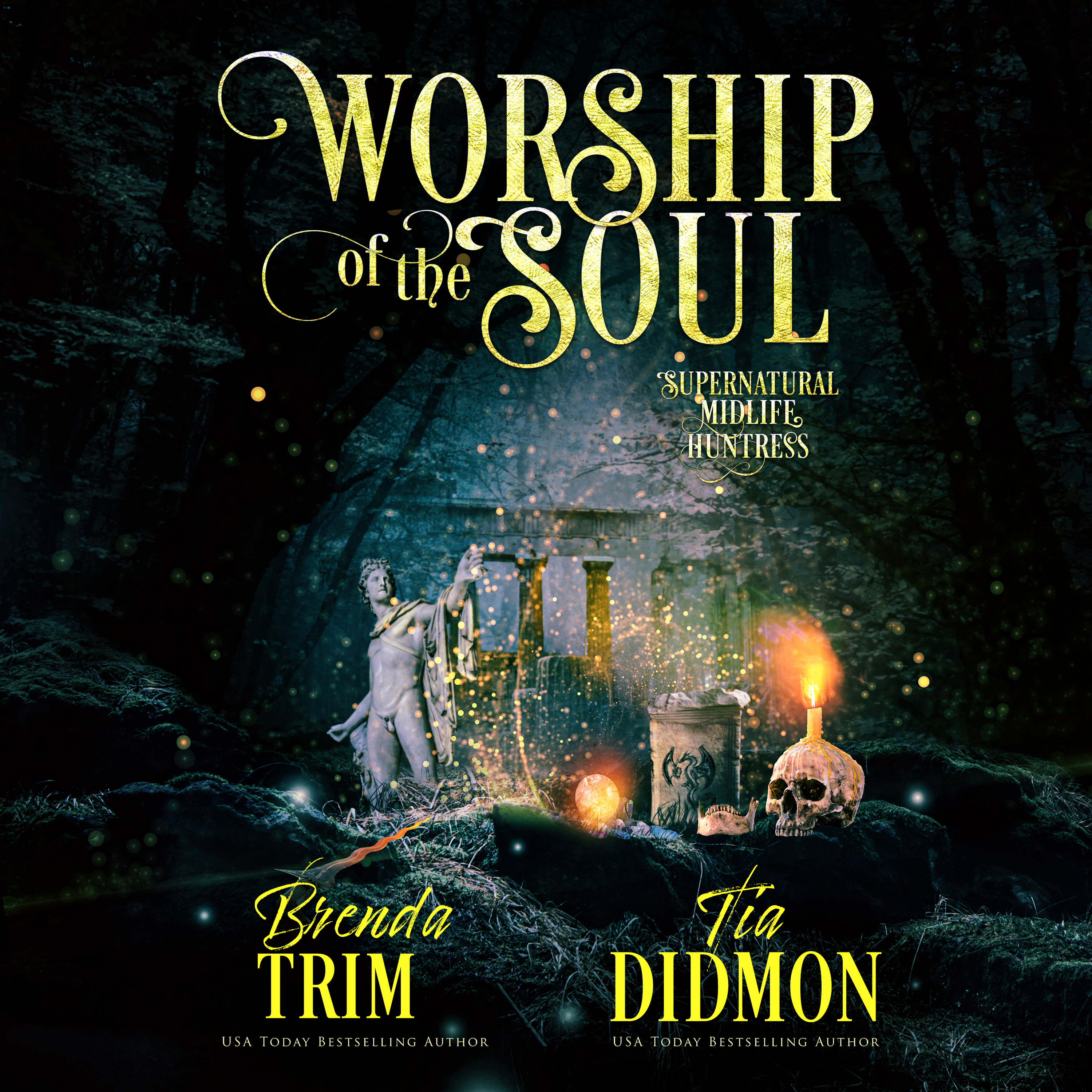 Worship of the Soul book cover