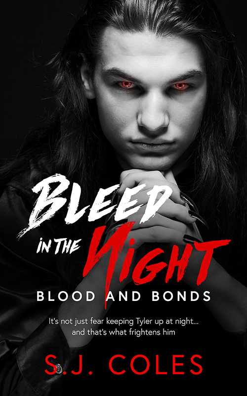 Blood and Bonds book cover 2