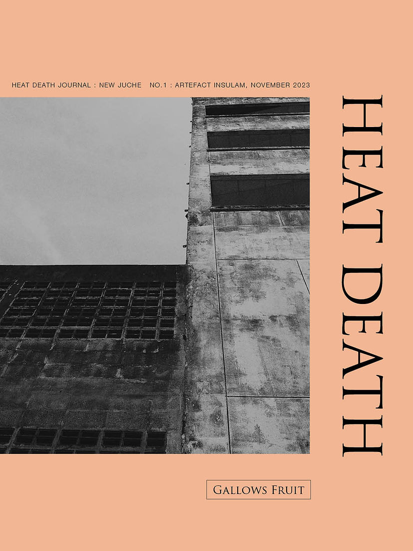 Heat Death -- Issue 1: Artefact Insulam