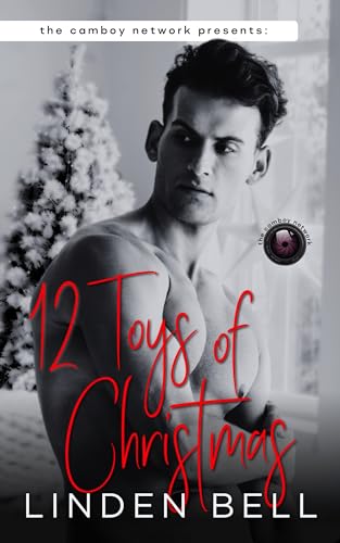 12 Toys of Christmas book cover
