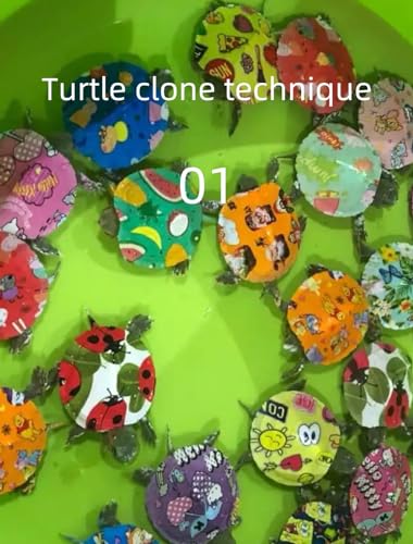 Picture Idea: Turtle Clone Technique 1 By Debra Katz