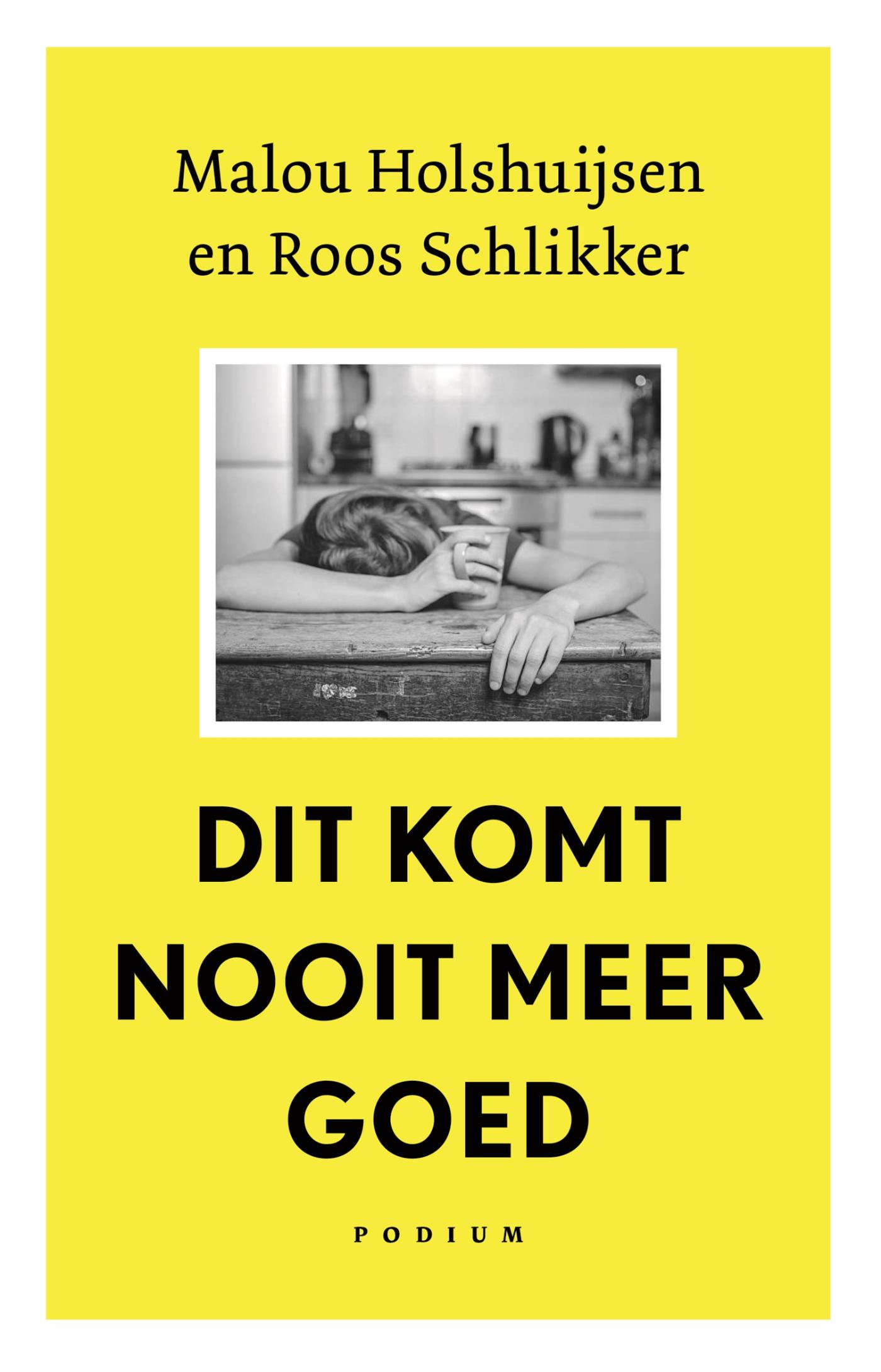 Dit komt nooit meer goed book cover