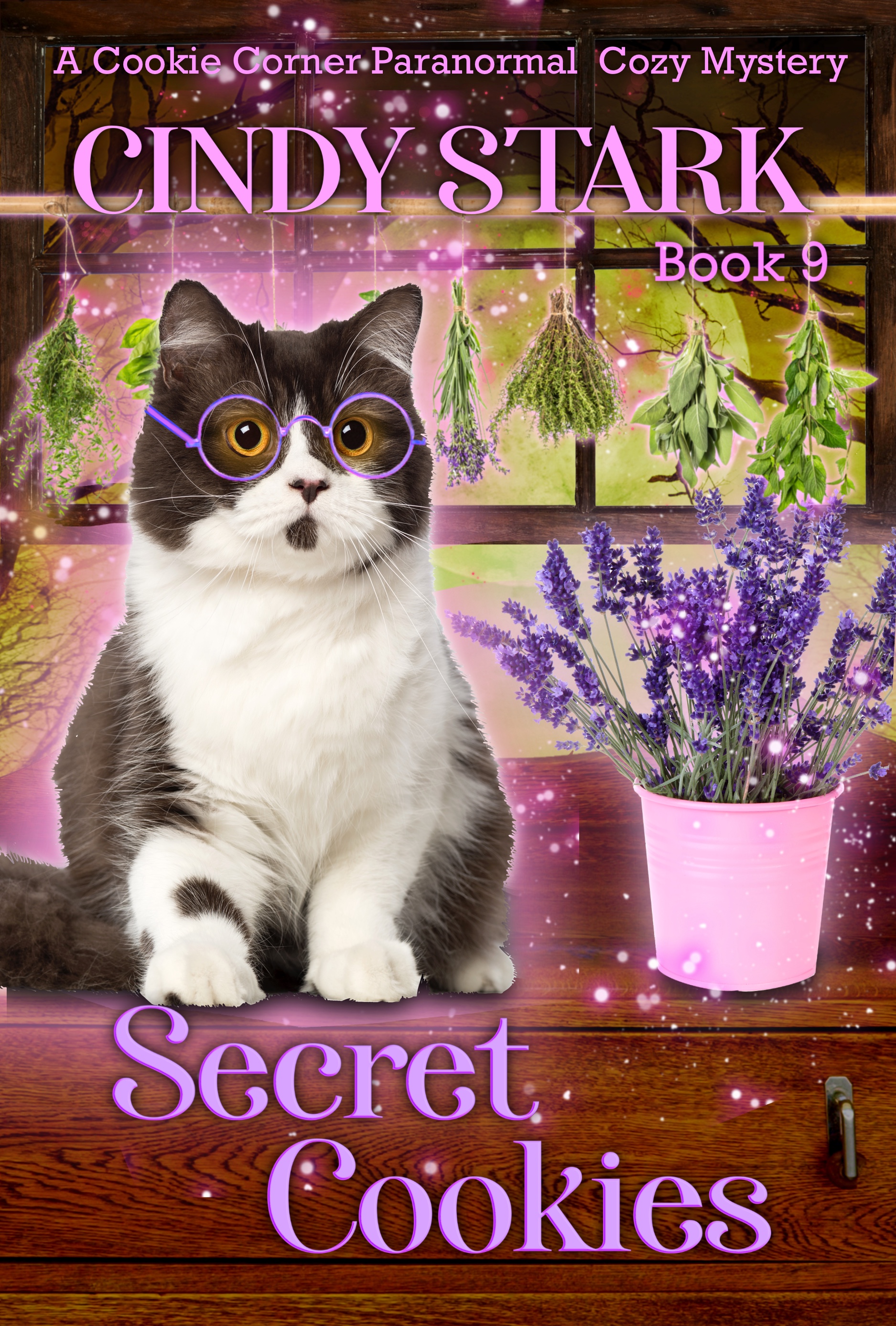 Secret Cookies