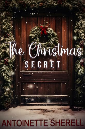 The Christmas Secret book cover