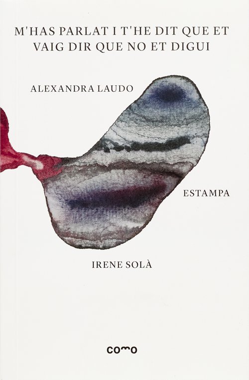 M'has parlat i t'he dit que et vaig dir que no et digui book cover