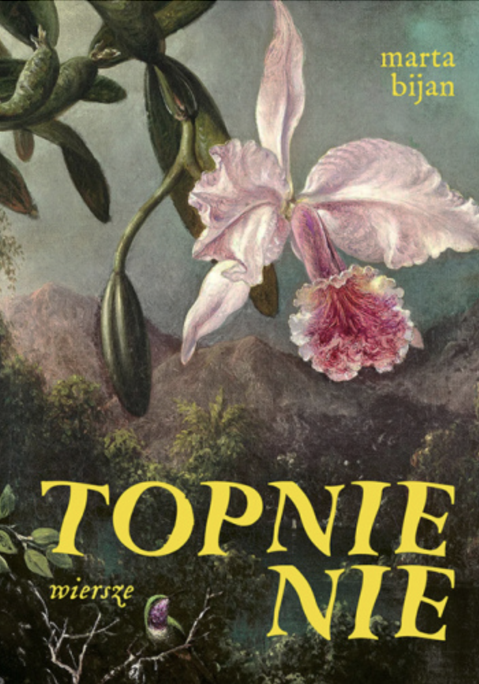 Topnienie