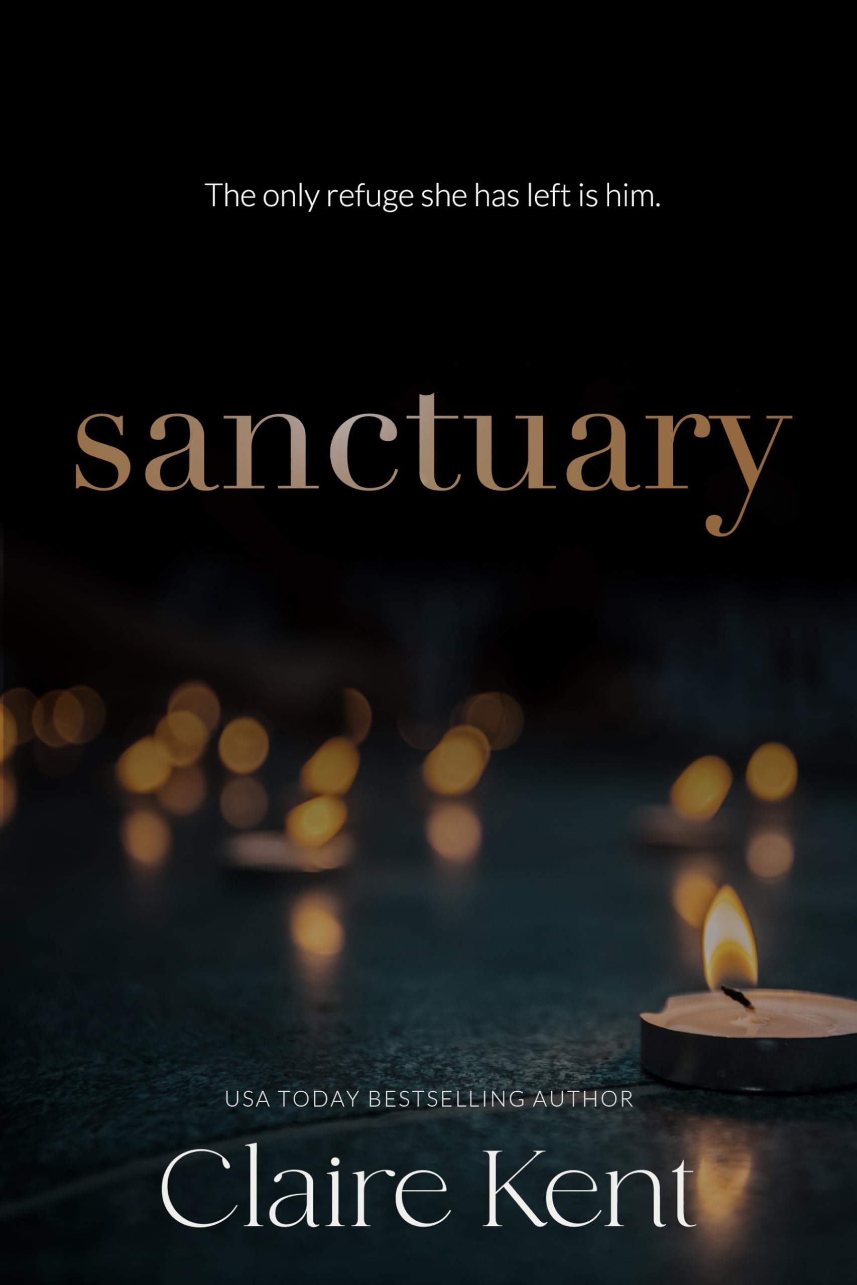 Sanctuary book cover