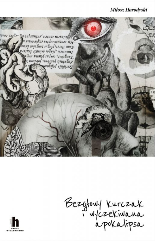 Bezgłowy kurczak i wyczekiwana apokalipsa book cover