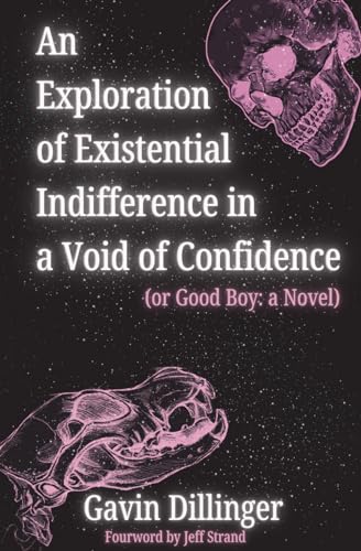 An Exploration of Existential Indifference in a Void of Confidence (or Good Boy: a Novel)