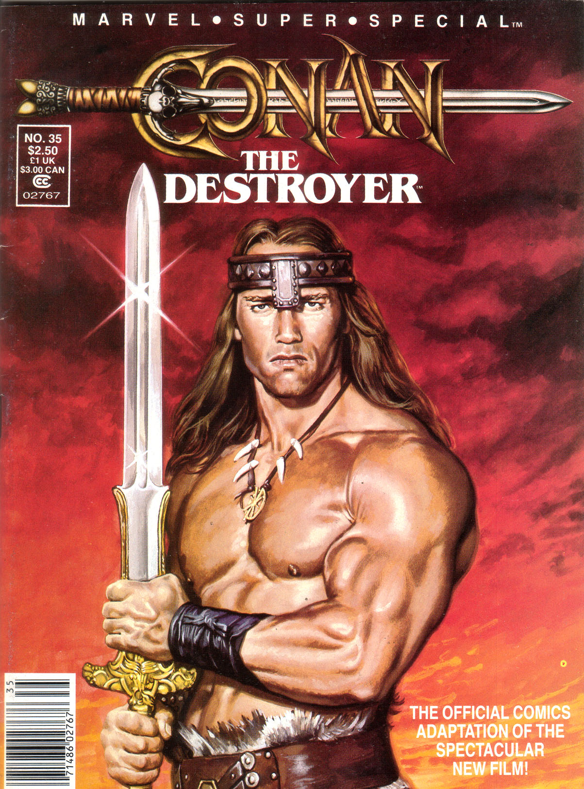Conan the Destroyer Super Special book cover