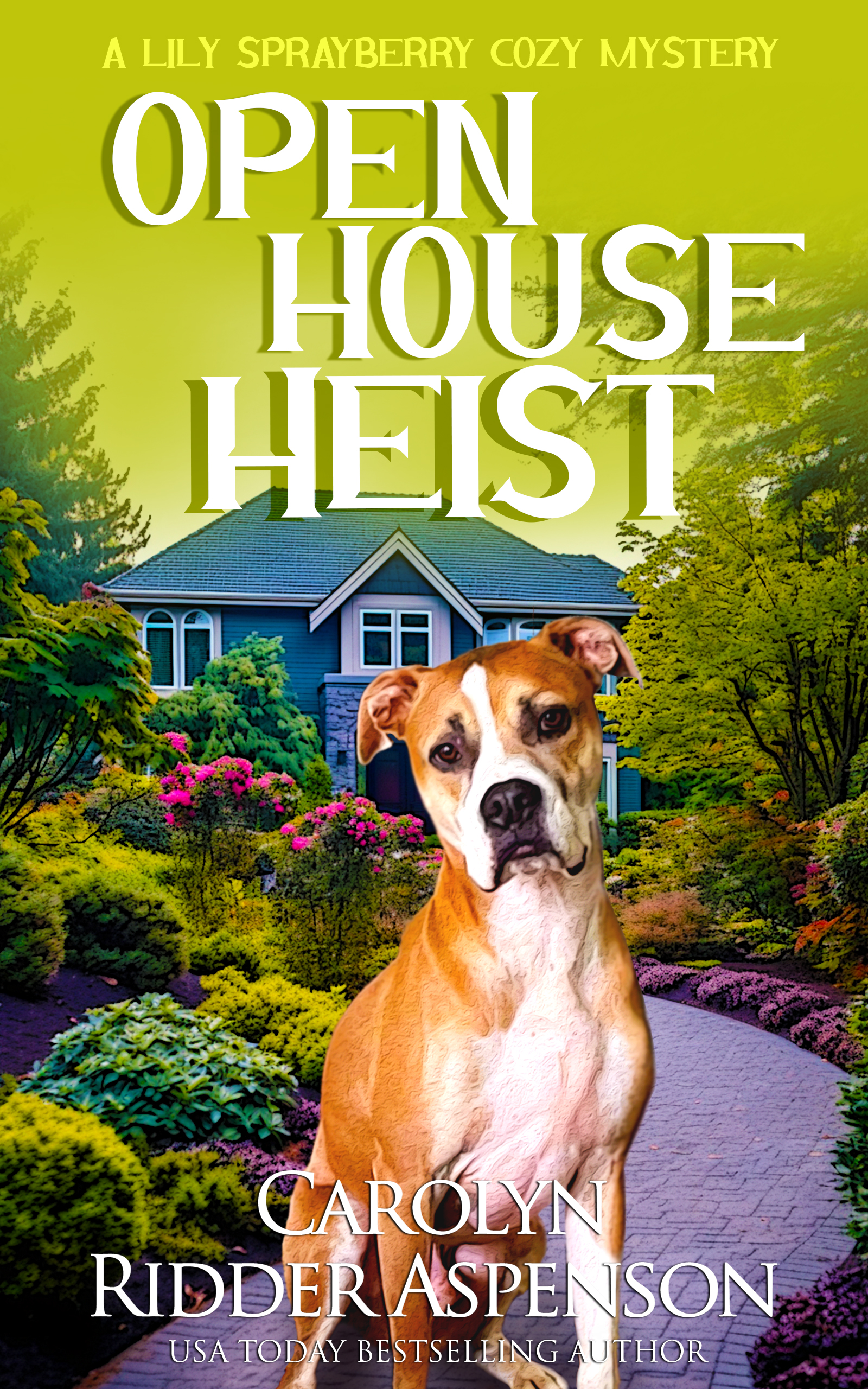 Open House Heist