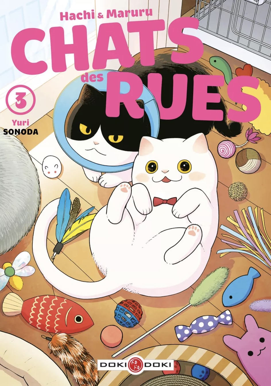 Hachi & Maruru - Chats des rues