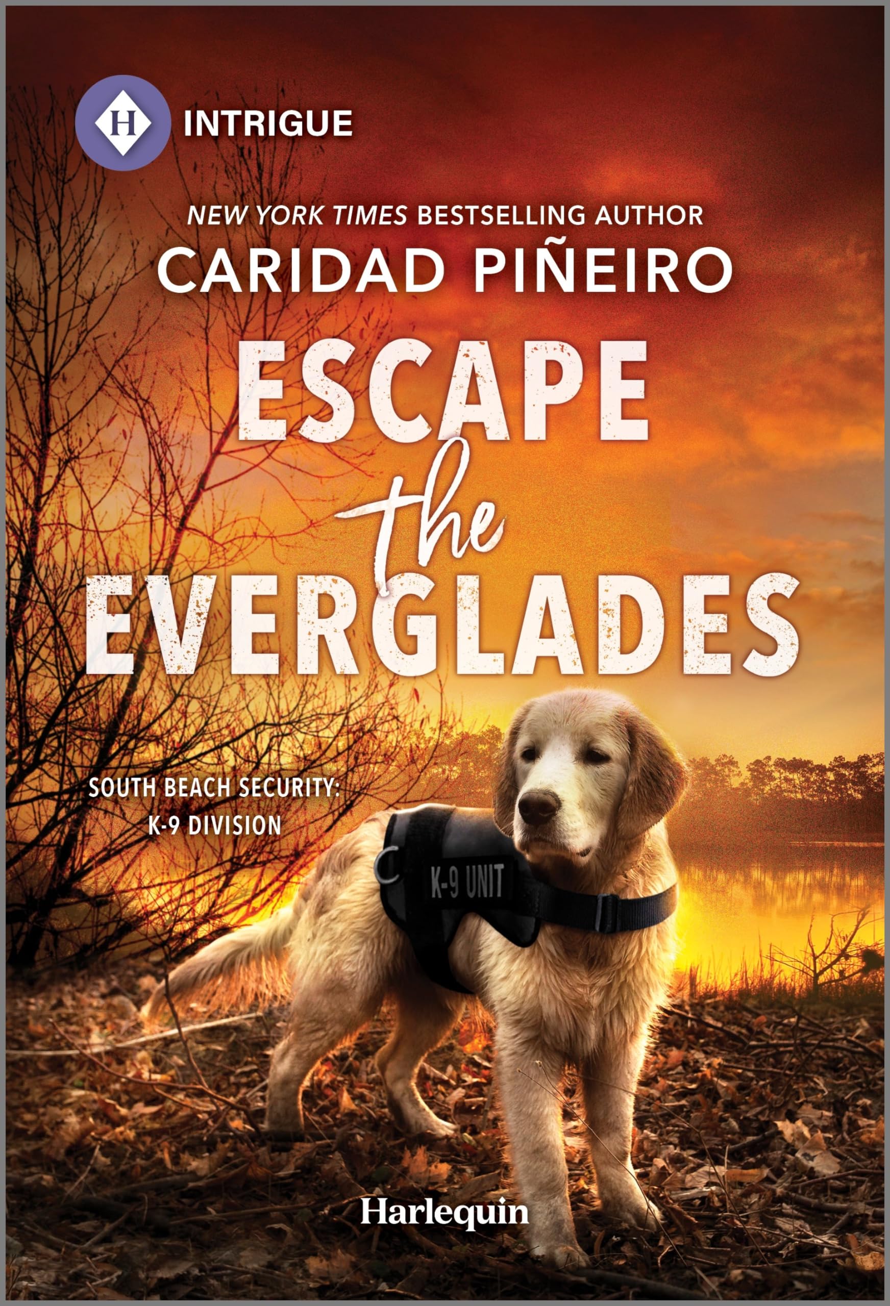 Escape the Everglades book cover