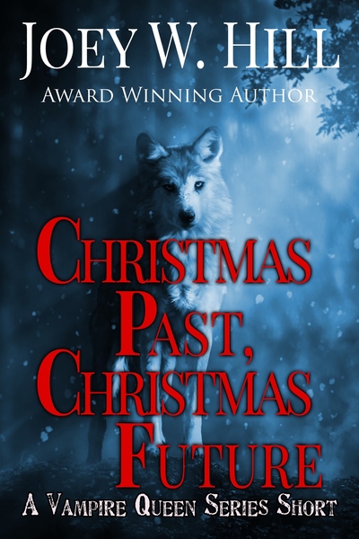Christmas Past, Christmas Future book cover