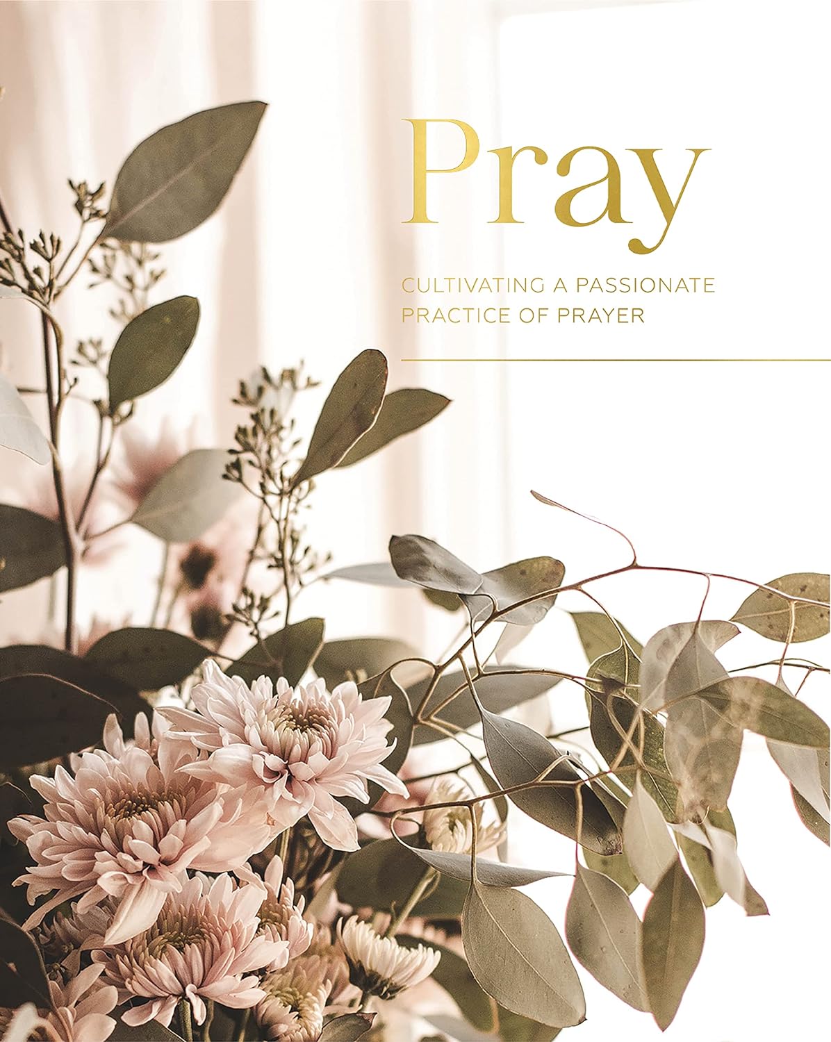 Pray: Cultivating a Passionate Practice of Prayer