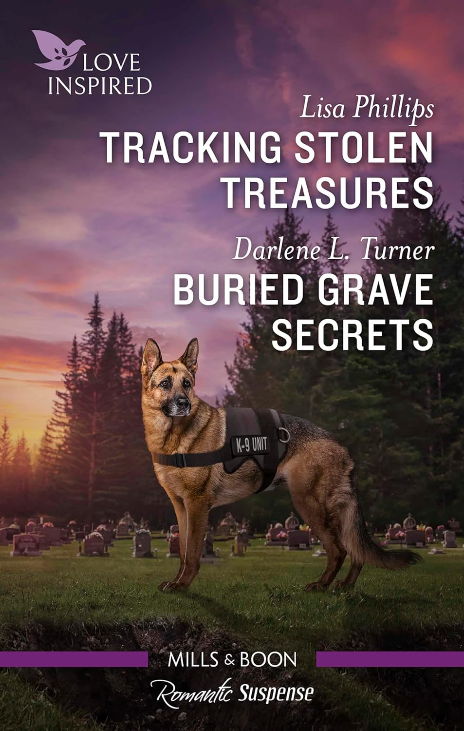 Tracking Stolen Treasures/Buried Grave Secrets by Lisa Phillips | Goodreads