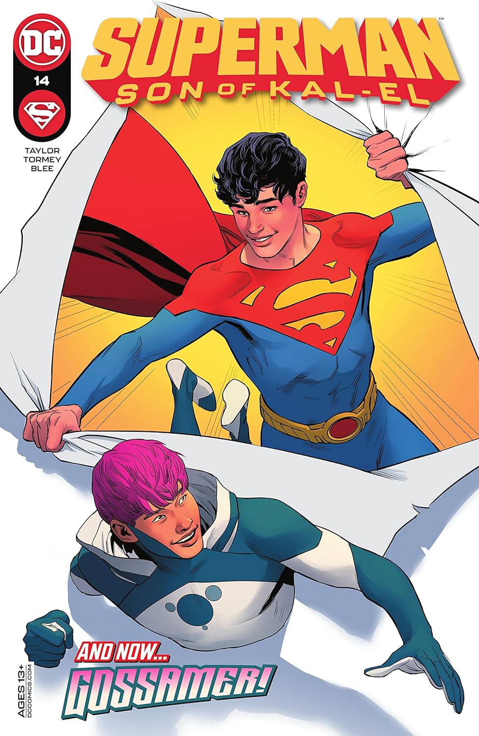 Superman book cover