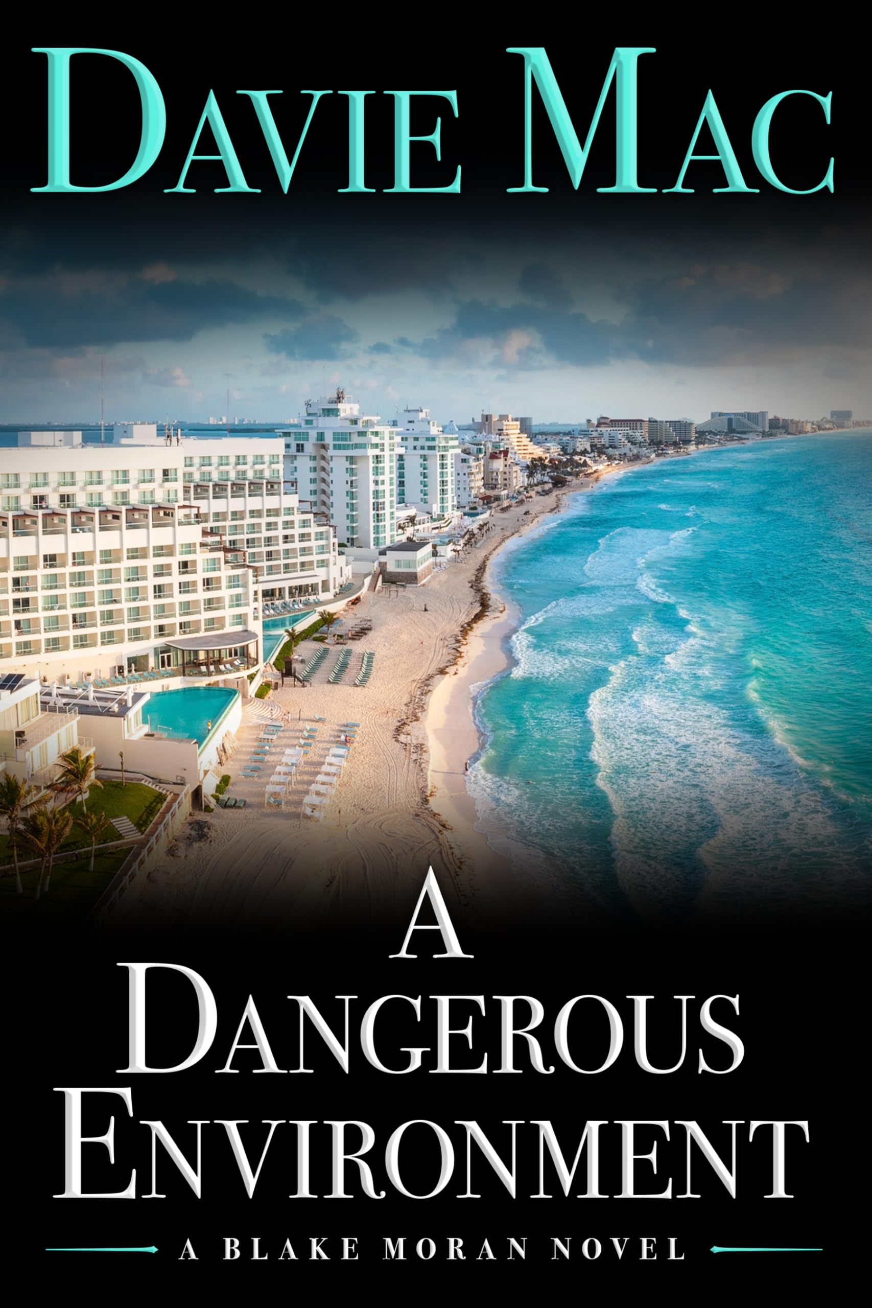A Dangerous Environment: A Blake Moran Novel