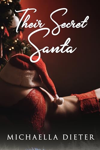 Their Secret Santa book cover