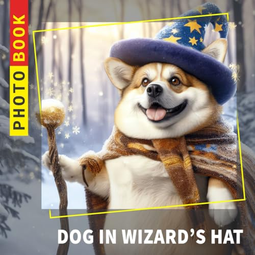 Dog In Wizard's hat Photobook 40+ Amazing Photos Of Dog In Wizard's