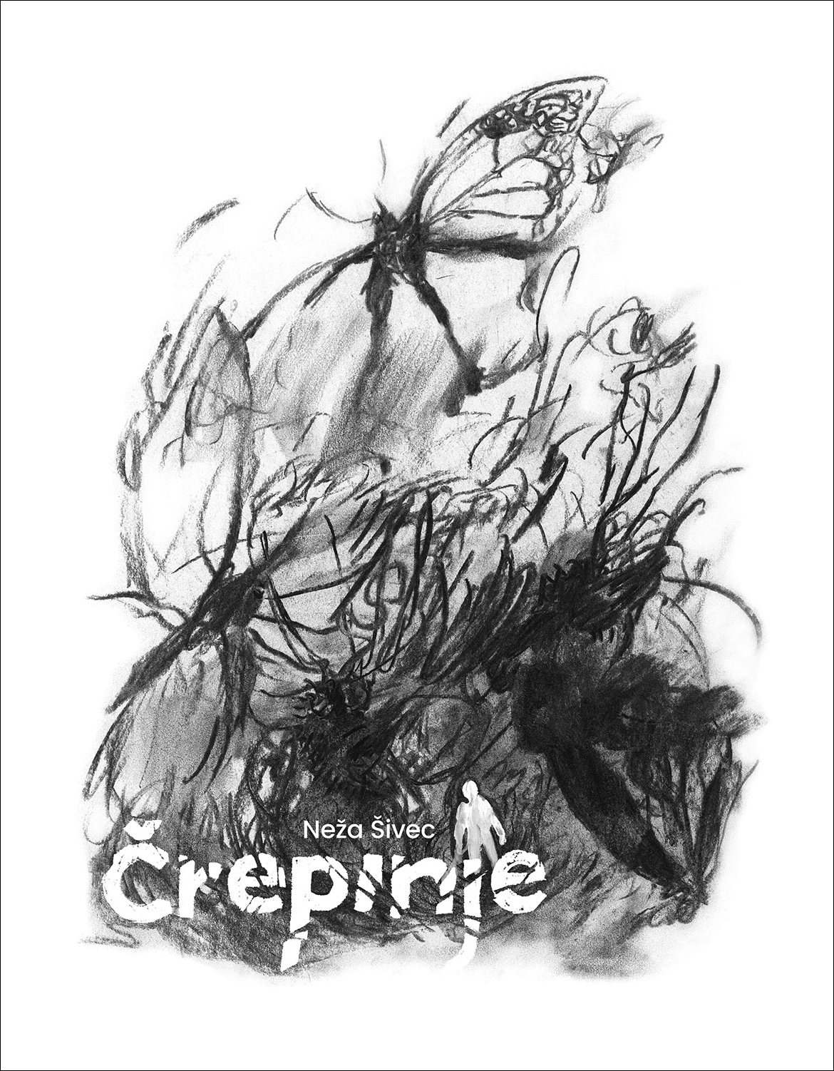 Črepinje