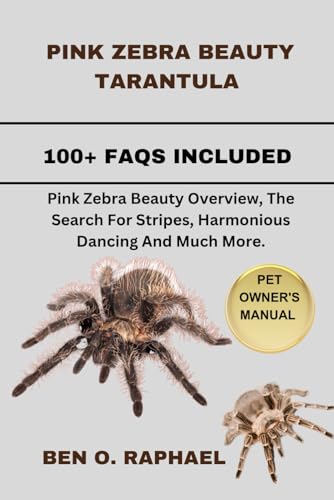 PINK ZEBRA BEAUTY TARANTULA: Pink Zebra Beauty Overview, The Search For ...