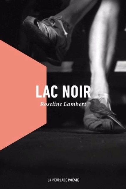 Lac noir