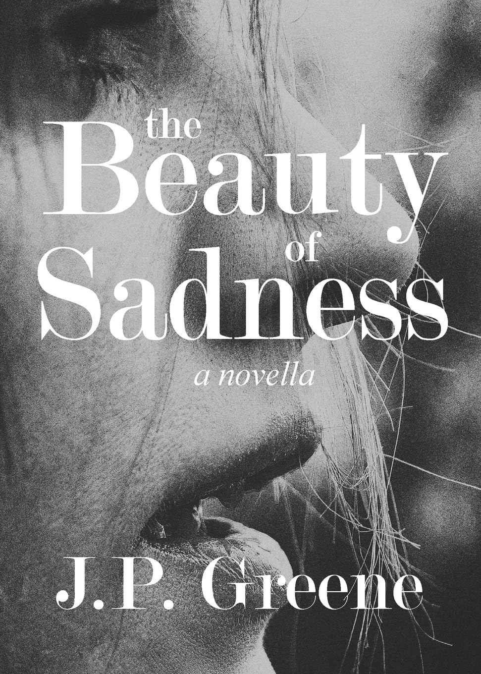 The Beauty of Sadness: a Novella