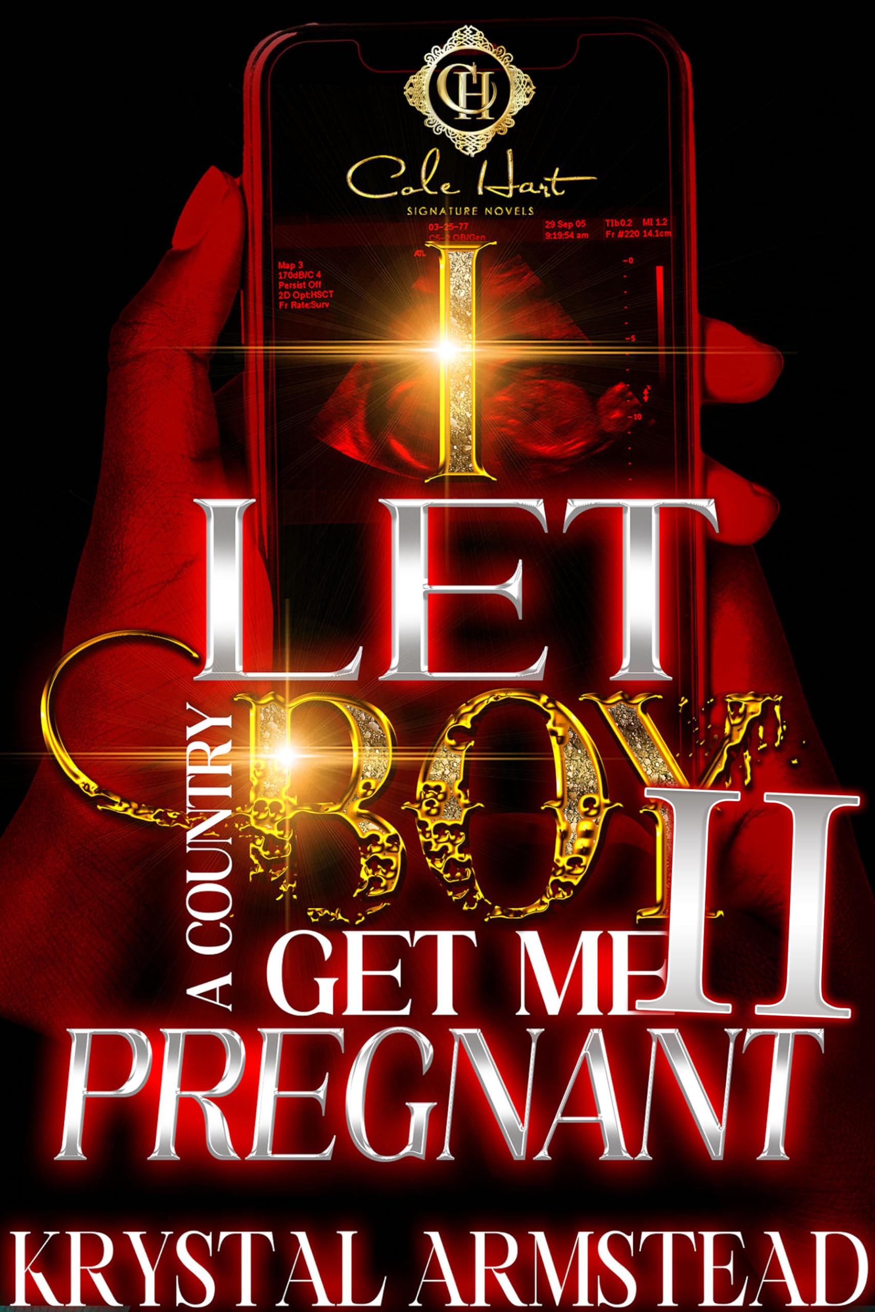 I Let A Country Boy Get Me Pregnant 2: An African American Romance