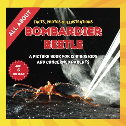 All about Bombardier Beetle Facts, Photos and Illustrations A Picture Book for Kids and