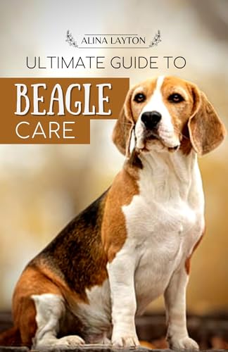 Ultimate Guide To Beagle Care: Complete Beginner Friendly Handbook to ...