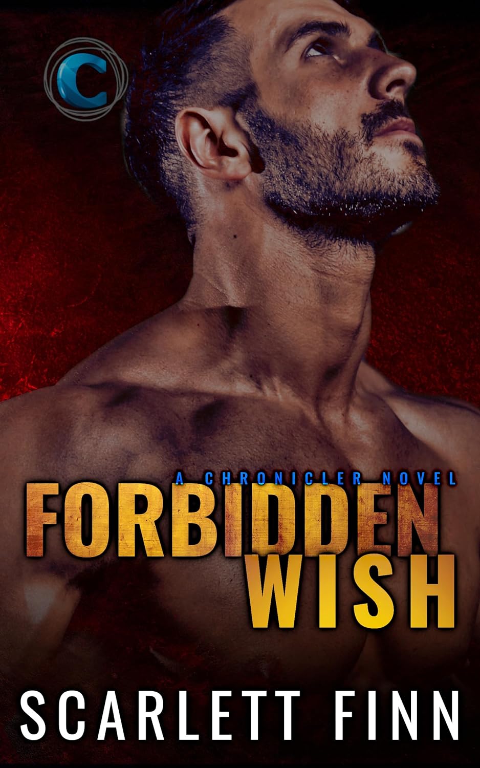 Forbidden book cover 3