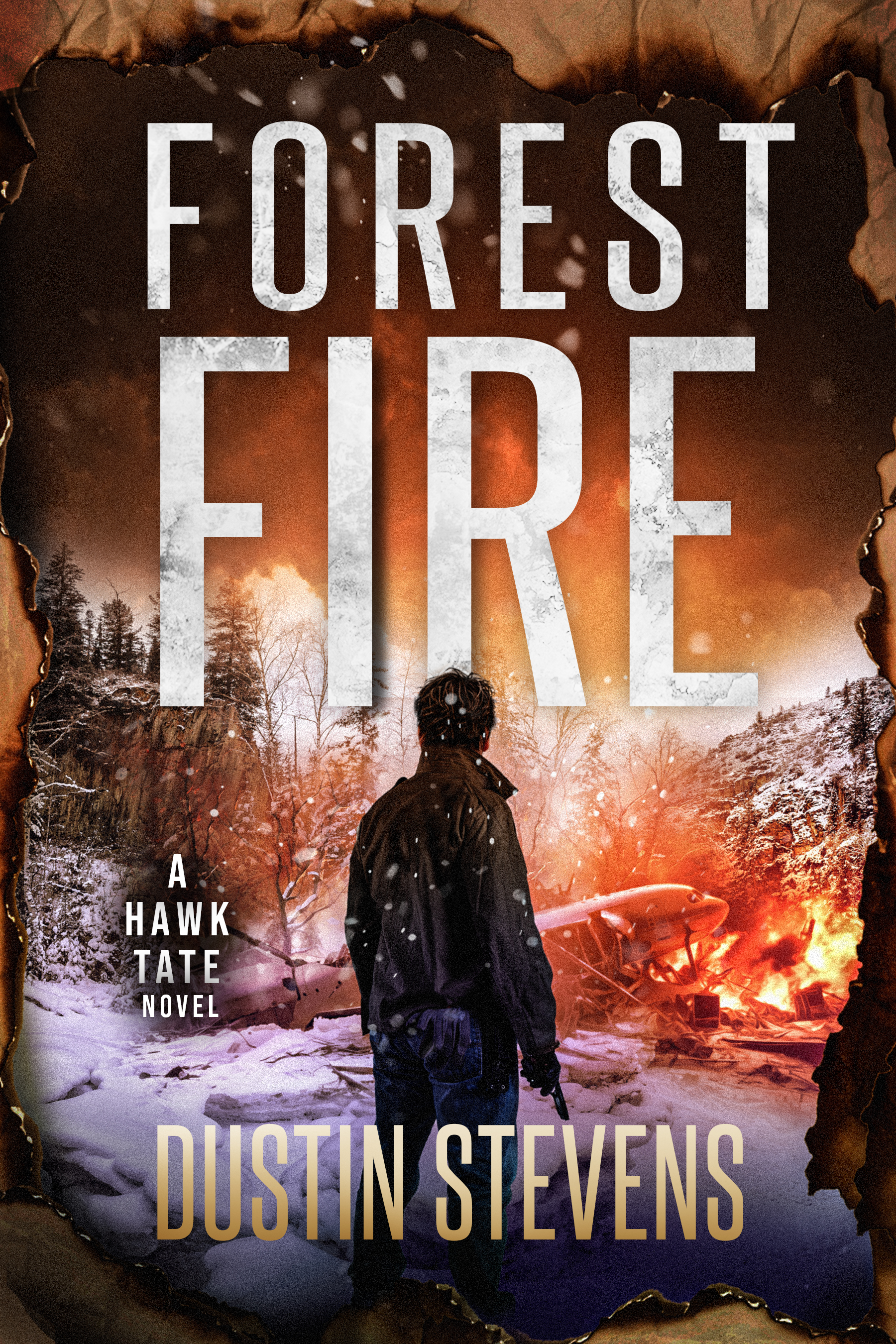 Forest Fire book cover