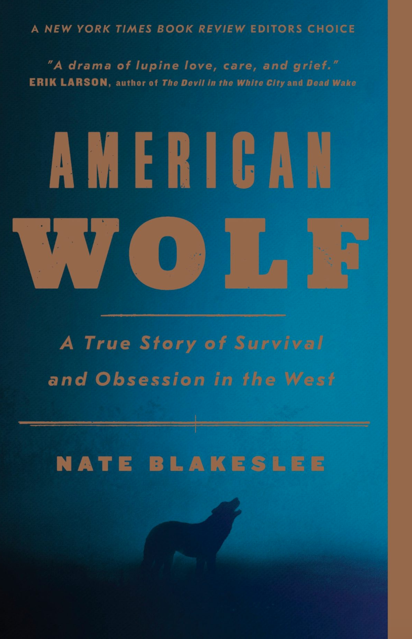 American Wolf