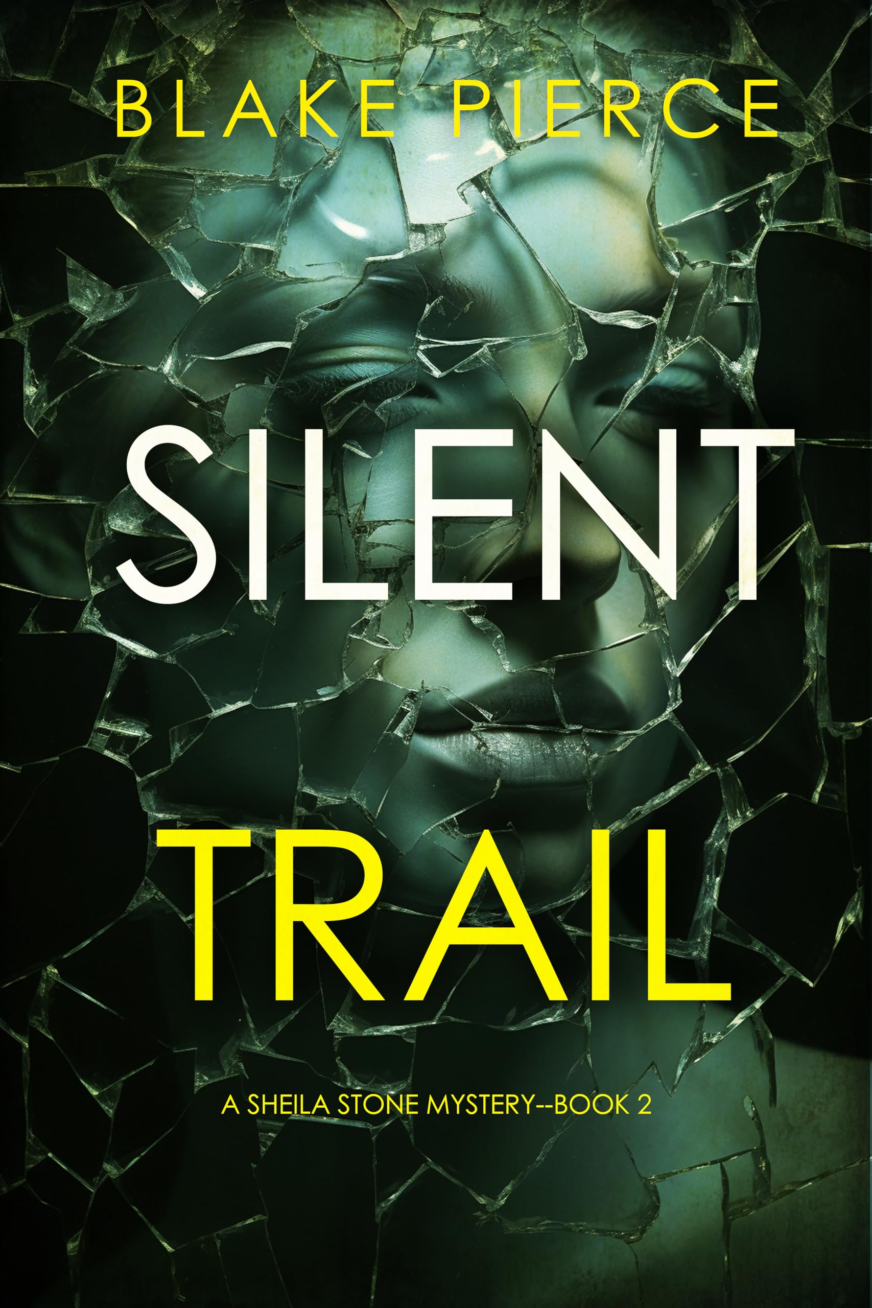 Sheila Stone book cover 2