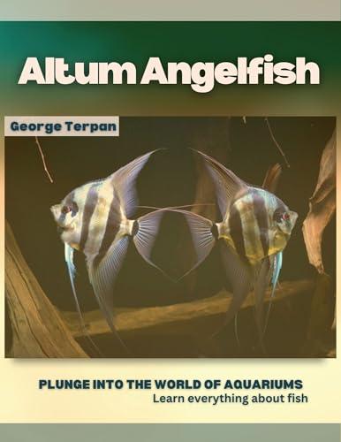 Altum Angelfish: Plunge into the world of aquariums, Learn everything ...