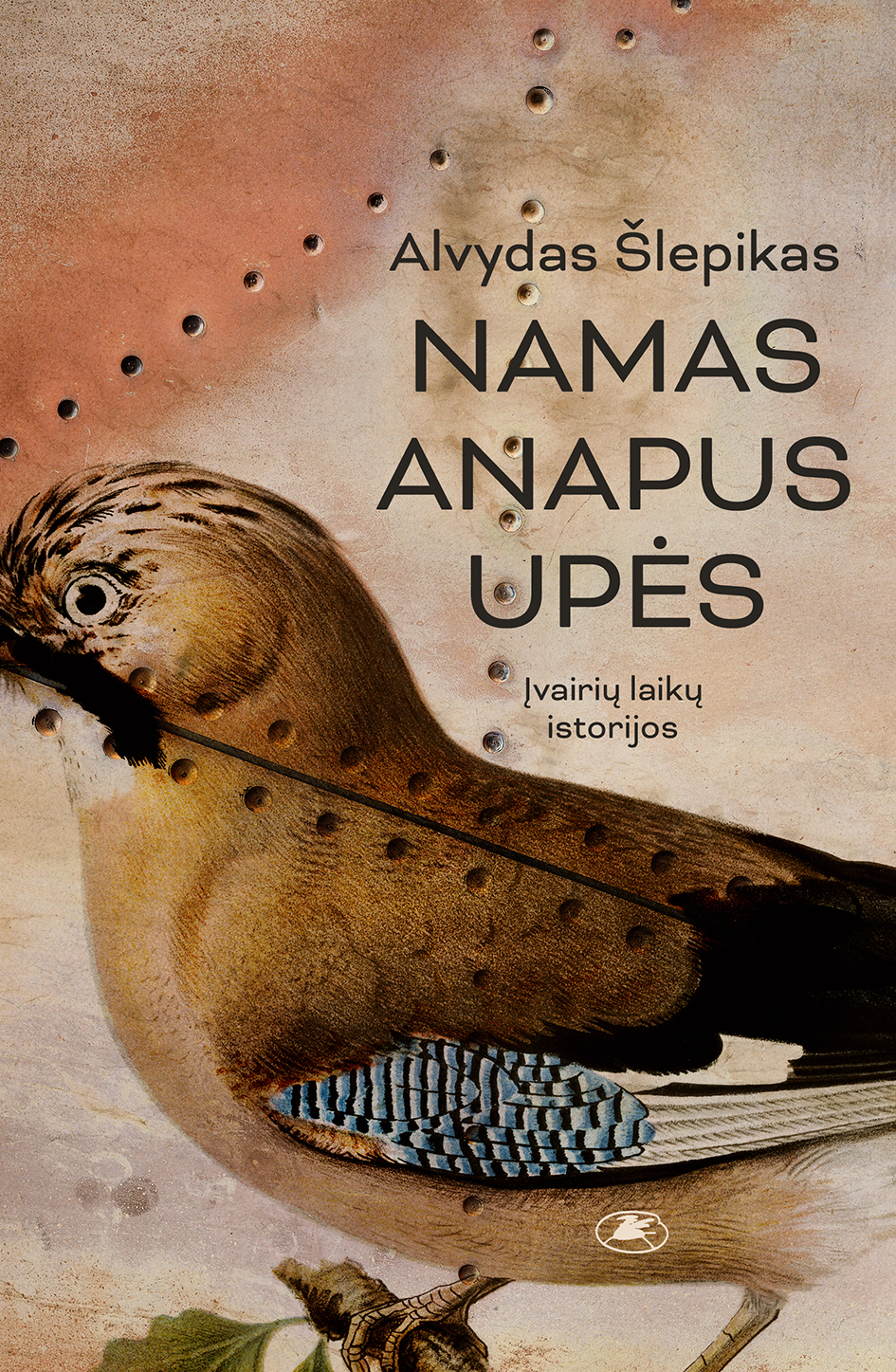 Namas anapus upės