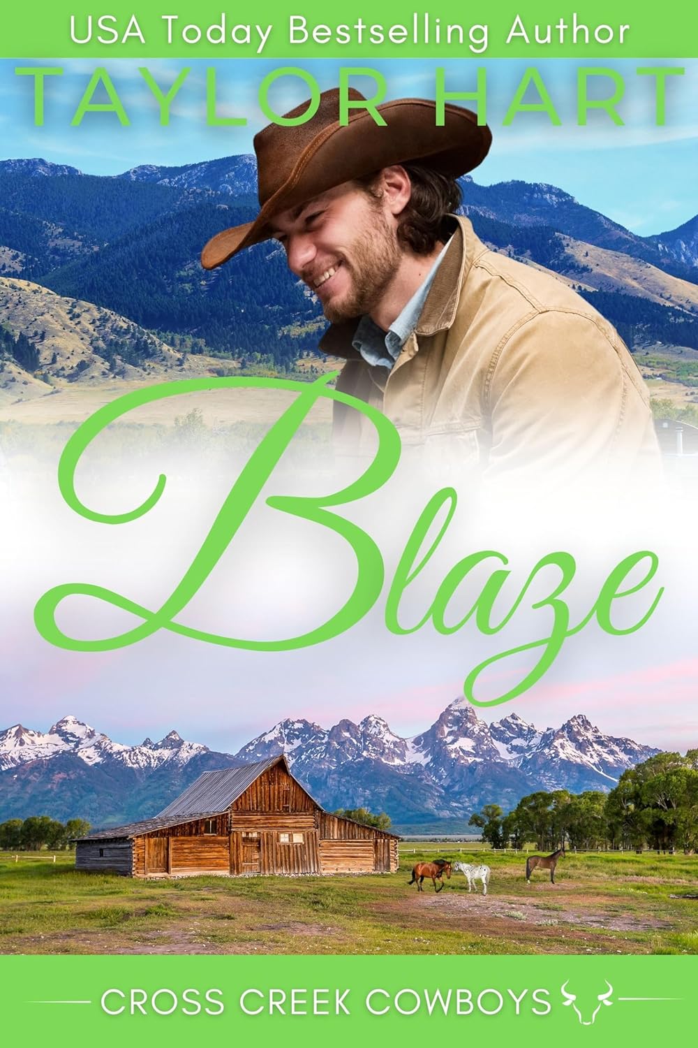 Blaze book cover