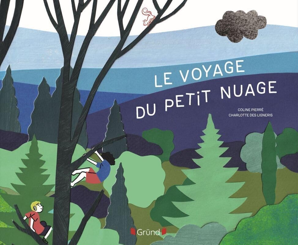 Le Voyage du petit nuage book cover